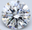 Kambourians logo